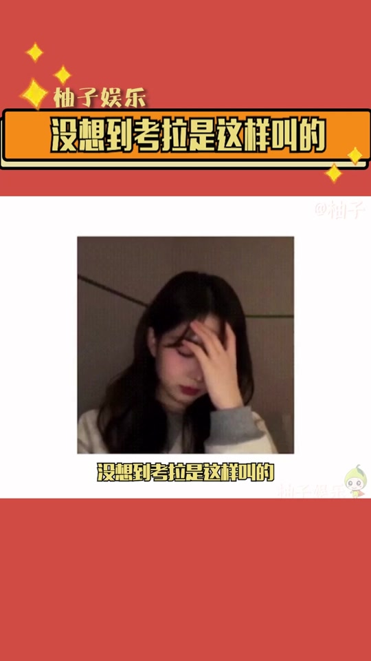 王考拉抖音=taylor考拉王