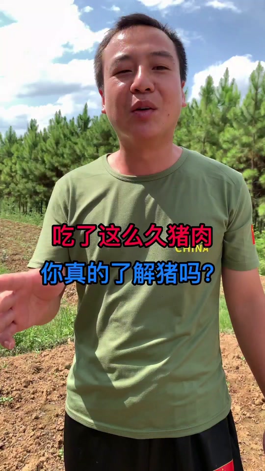 乌克兰白猪是哪一年进入中国的?_乌克兰白猪肉