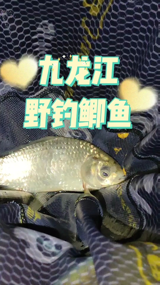 2024漳州九龙江禁止钓鱼吗 - 抖音