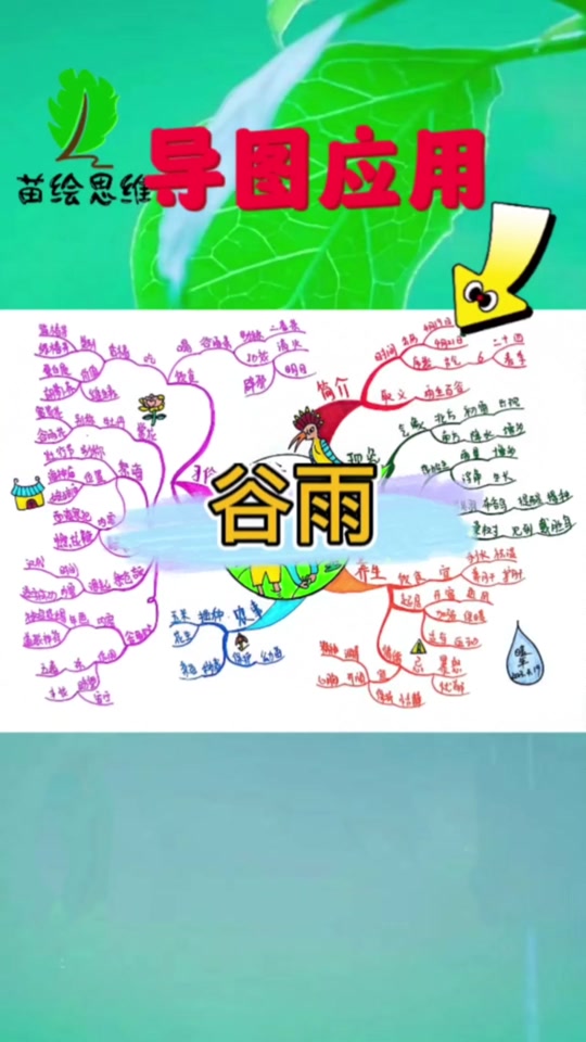 雨水节气思维导图