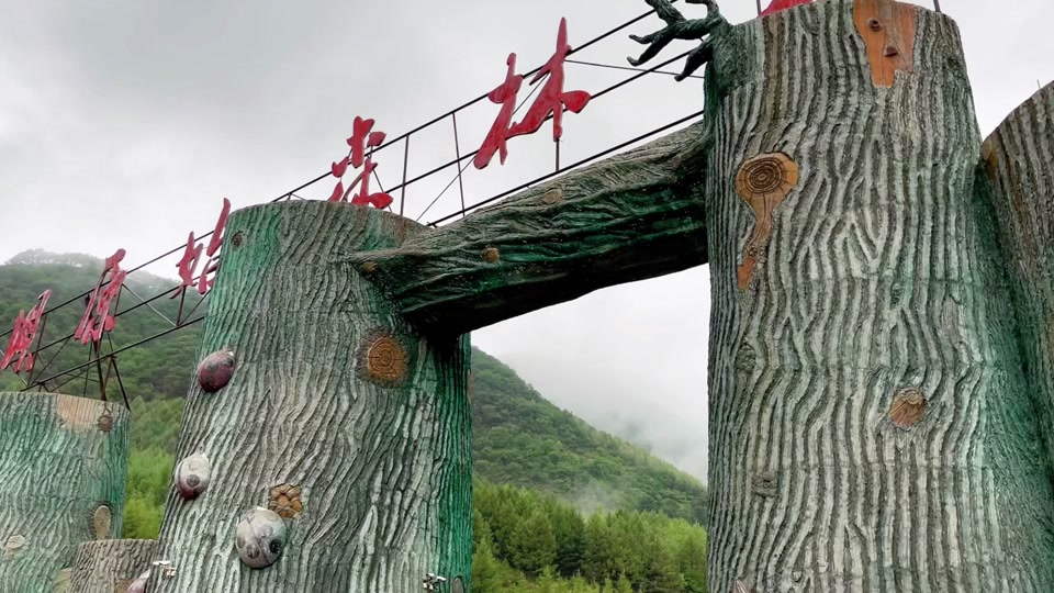 茅荆坝国家森林公园旅游攻略图文 - 抖音