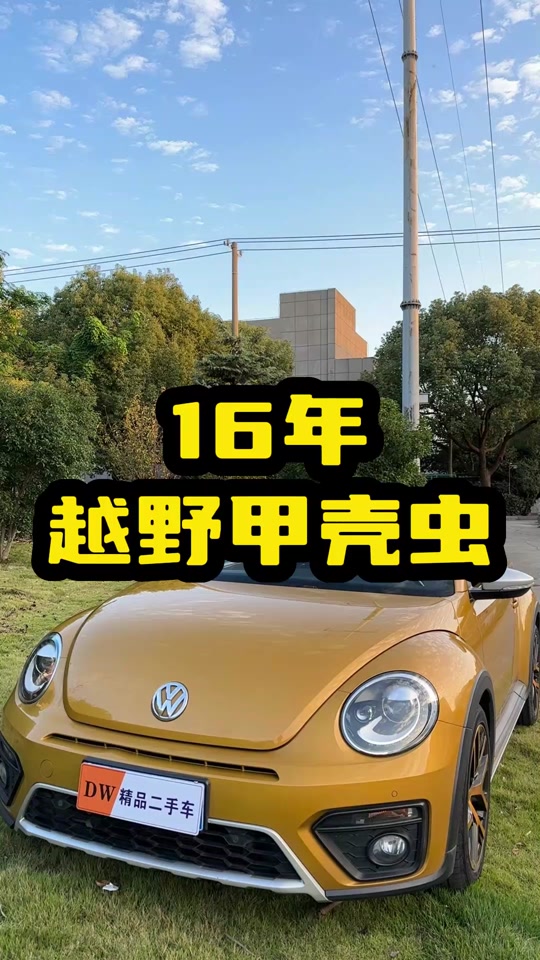 甲虫16 2.0 区别 - 抖音