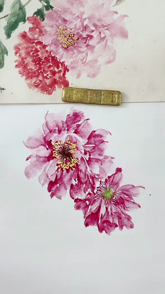 王素华教国画:点花心要点出画龙点睛的感觉#国画 #零基础学画画 #花鸟