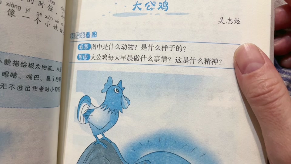 小公鸡照镜子看图写话 - 抖音
