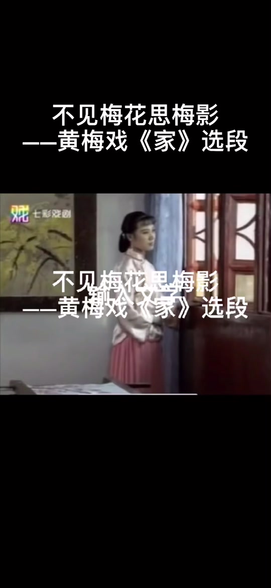 家春秋黄梅戏选段_黄梅戏《家春秋》_黄梅戏家春秋全部唱段我爱梅