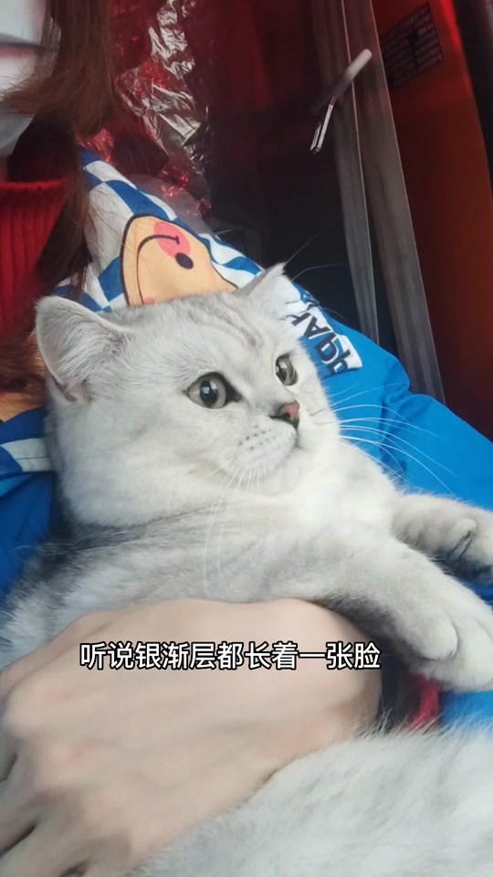 抖音猫儿妈=抖音主播猫儿简介