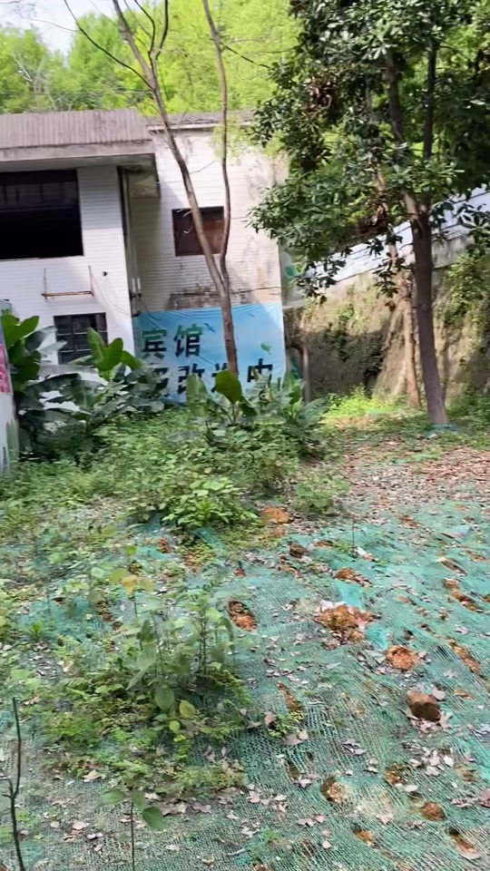江西莲花塘鬼楼有哪些_景德镇莲花塘鬼屋故事