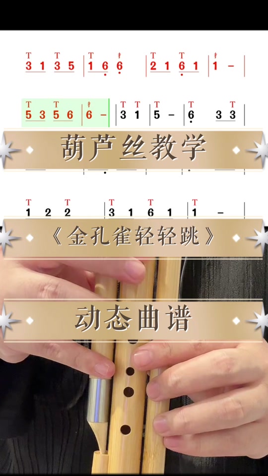 葫芦丝乐谱金孔雀带有打印的