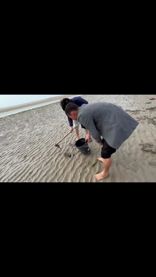 徐闻县长毛俊叫什么名 - 抖音