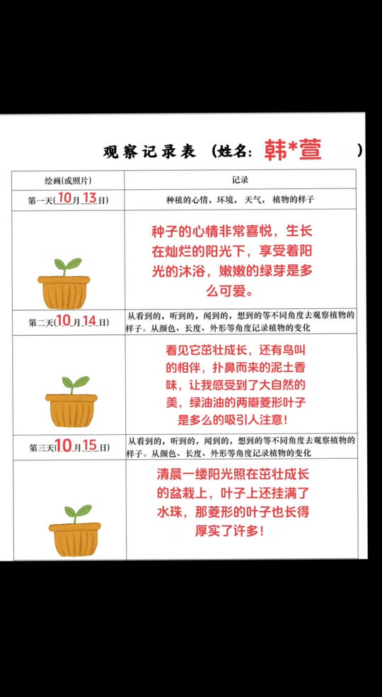 迎春花的植物记录卡怎么写