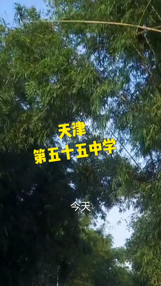 天津市57中初中部怎么样 - 抖音