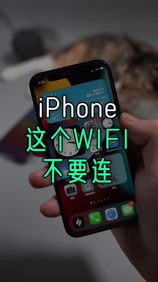 免费用网络打电话软件是真的吗安全吗苹果