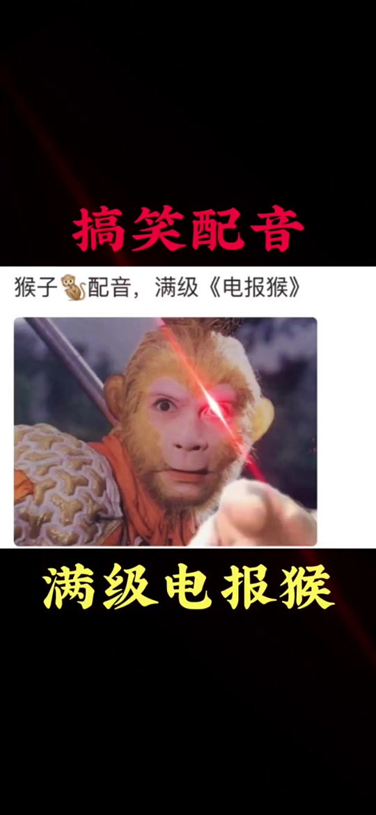 电报猴你看你长得那b样台词_猴子电报盒