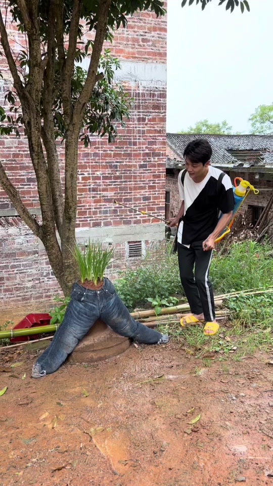 农村妮娃的快乐生活_农村西娃子的快乐生活_在农村的快乐生活 - 抖音
