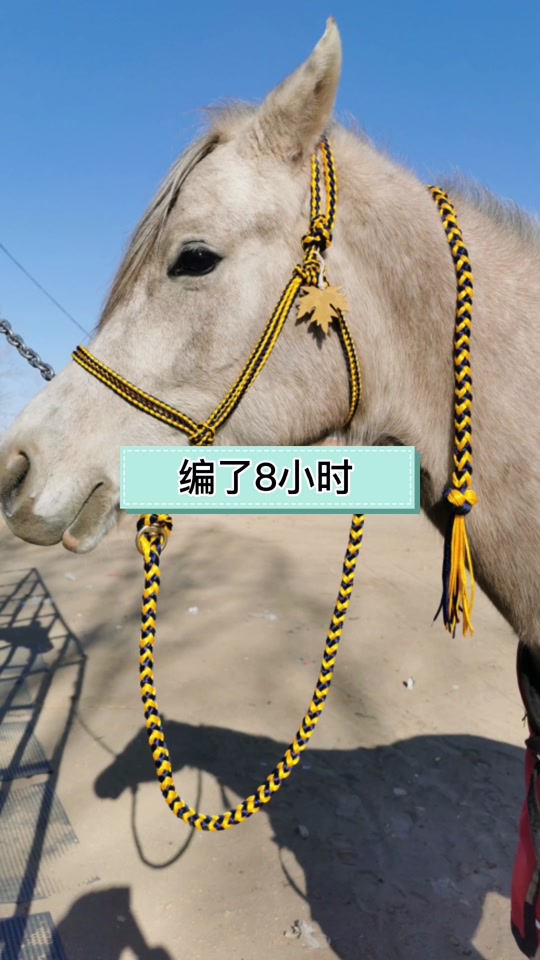 马笼头教程