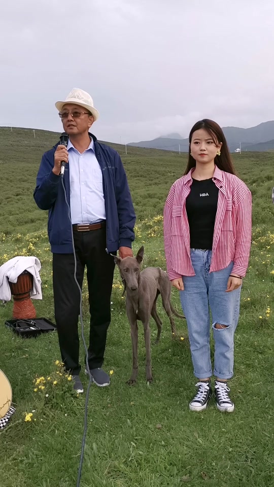 青海花儿马俊解放大西北_青海花儿马俊马五哥专辑