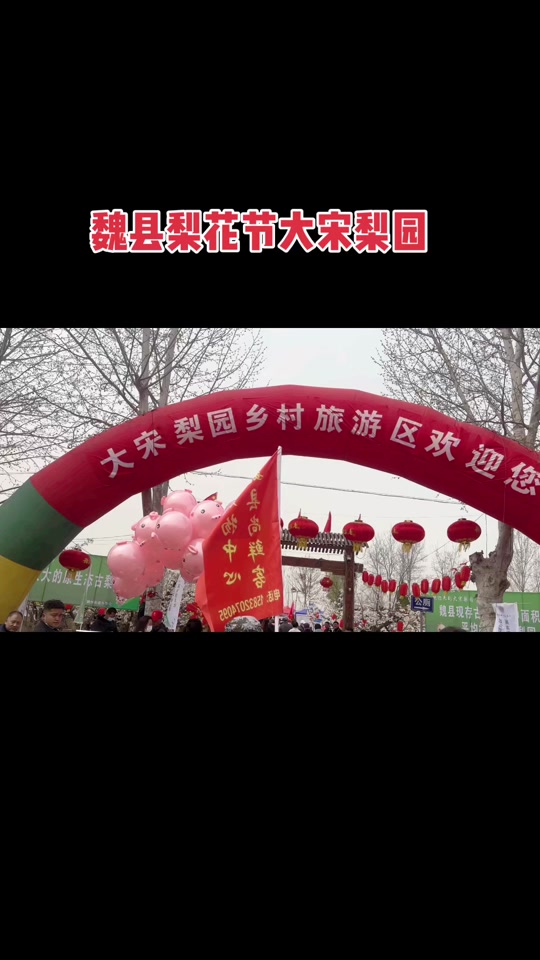 魏县梨花节大宋梨园在哪g村 - 抖音