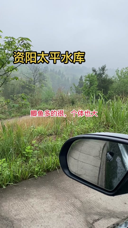 资阳哪些水库可以钓鱼 - 抖音