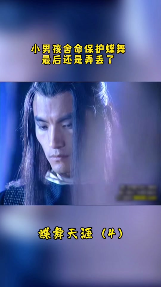 蝶舞天涯释小龙