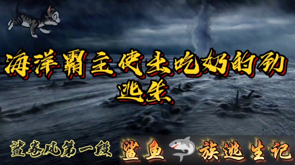 鲨卷风4四度觉醒鲸鱼爸爸哥哥姐姐爷爷