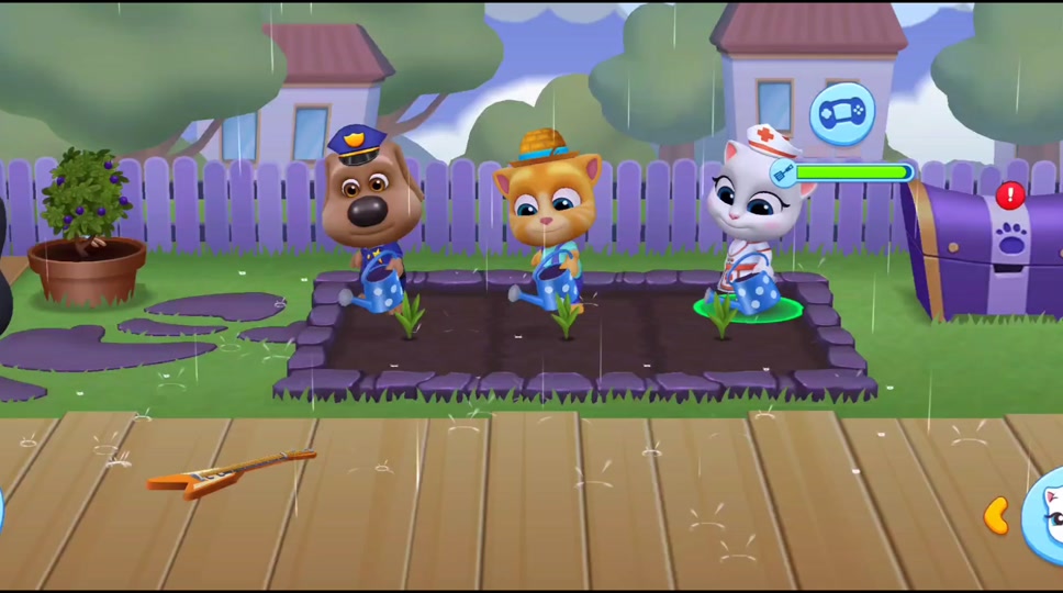 旬猫家族vs老鸟家族