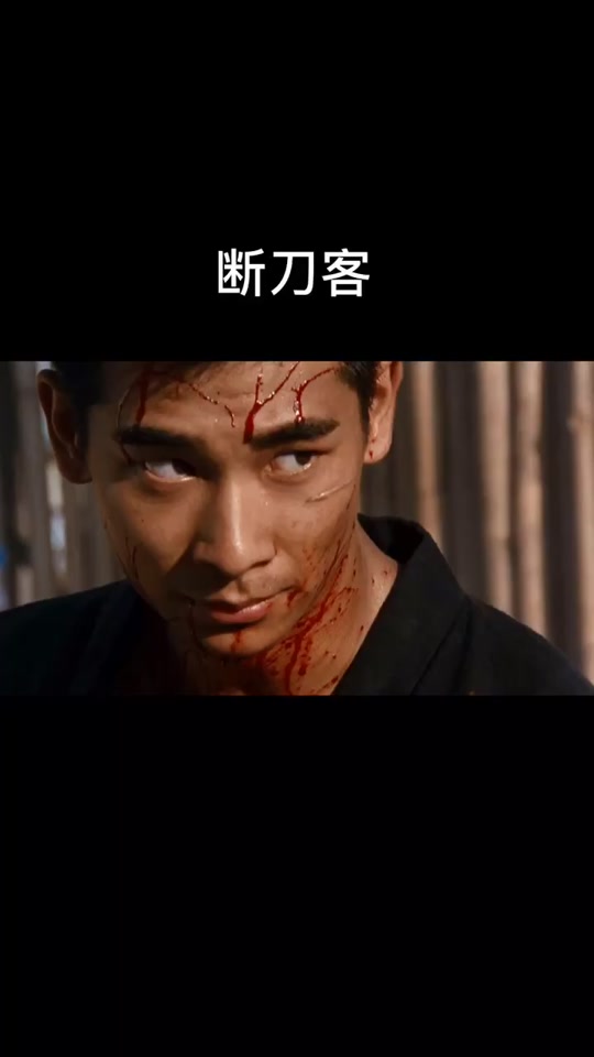 赵文卓断刀客电影国语_赵文卓断刀客演员表