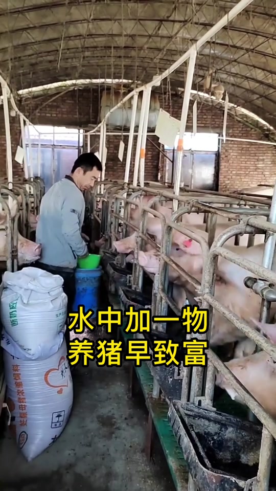 致富养殖好项目有哪些内容(养殖致富网500元投资)