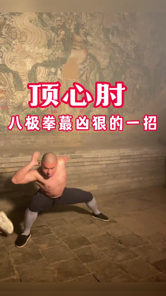 外国人看八极拳顶心肘