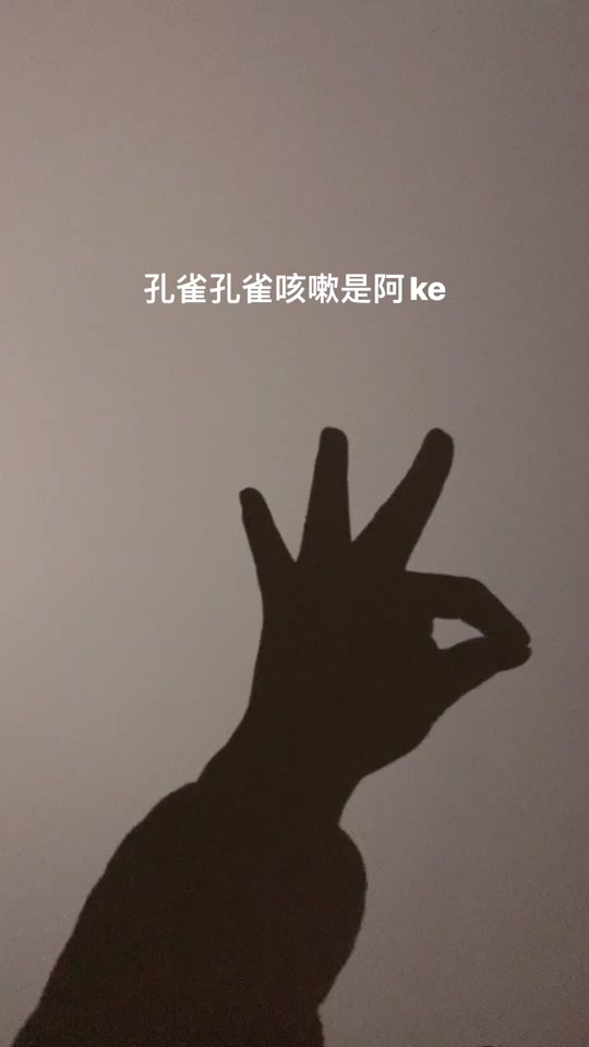 孔雀吐痰手影戏剧_孔雀的手影戏