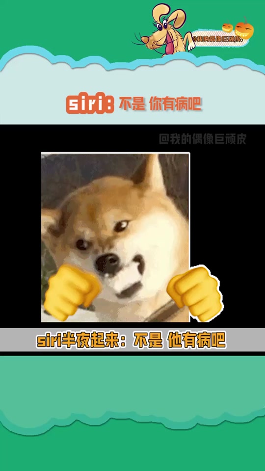 恶搞siri的英语翻译_恶搞siri的英语翻译蜜蜂的段子_恶搞siri的英语