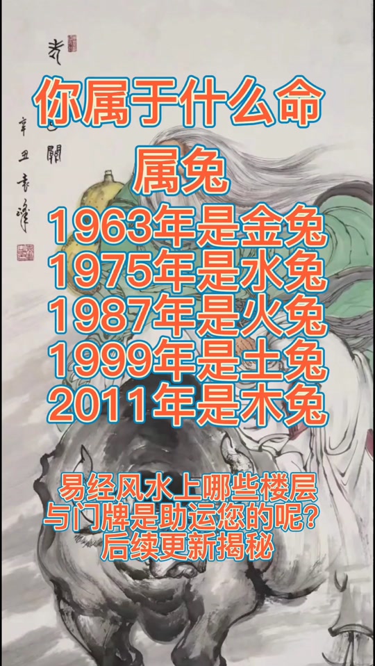 1963年的北狮_1963年是什么年_1963年属兔的是什么命 - 抖音