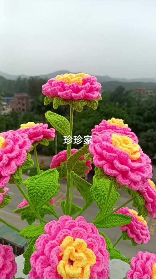 珍珍手工毛线编织