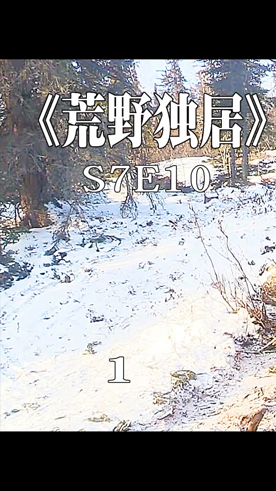 荒野生存挑战100天可以带哪些工具 - 抖音