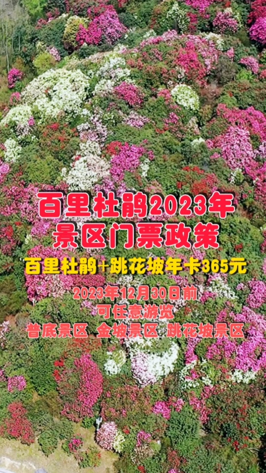 百里杜鹃门票学生证免票要提前预约吗 - 抖音