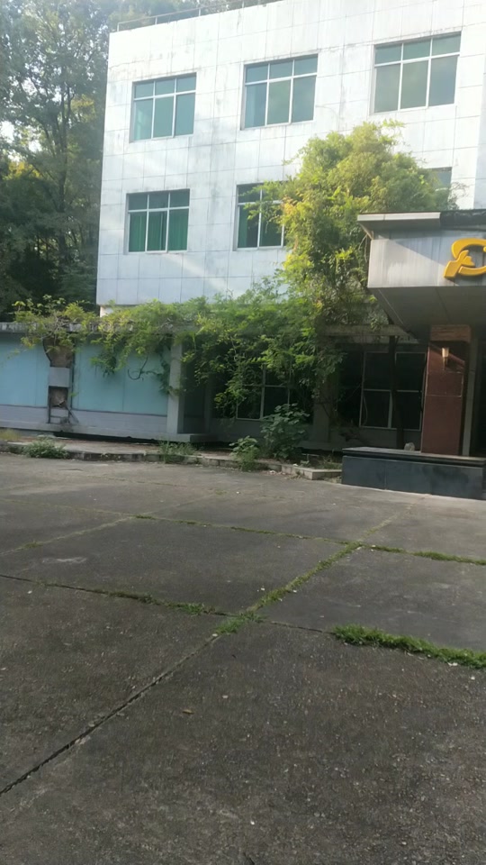 江西莲花塘鬼楼有哪些_景德镇莲花塘鬼屋故事