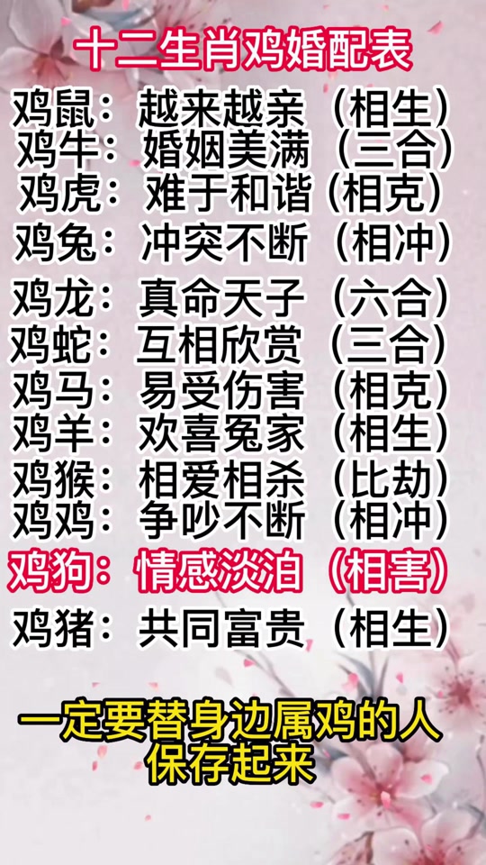 鼠年鸡生肖运势大全(鼠年属鸡的运气好吗)