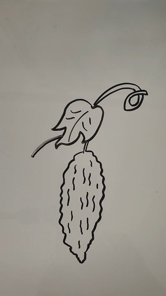 苦瓜简笔画 - 抖音