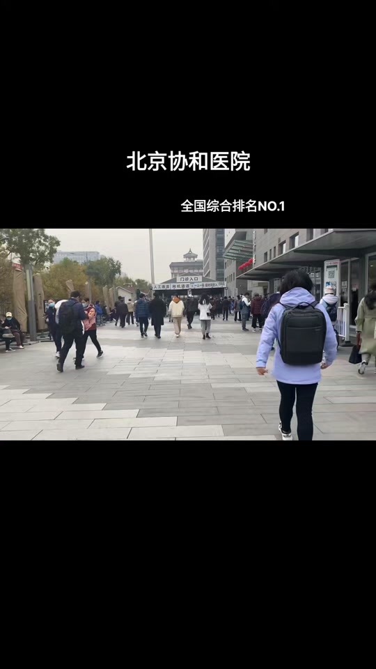 关于协和医院黄牛，票贩子跑腿服务的信息