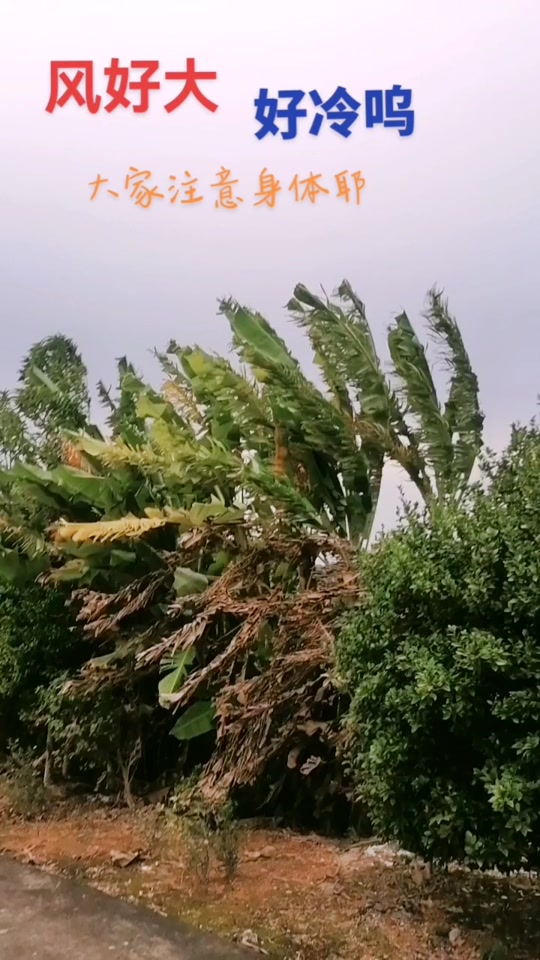 惠州市博罗县天气预报