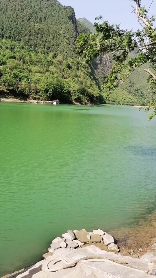 旺苍罐子坝水库要搬迁哪些地方 - 抖音