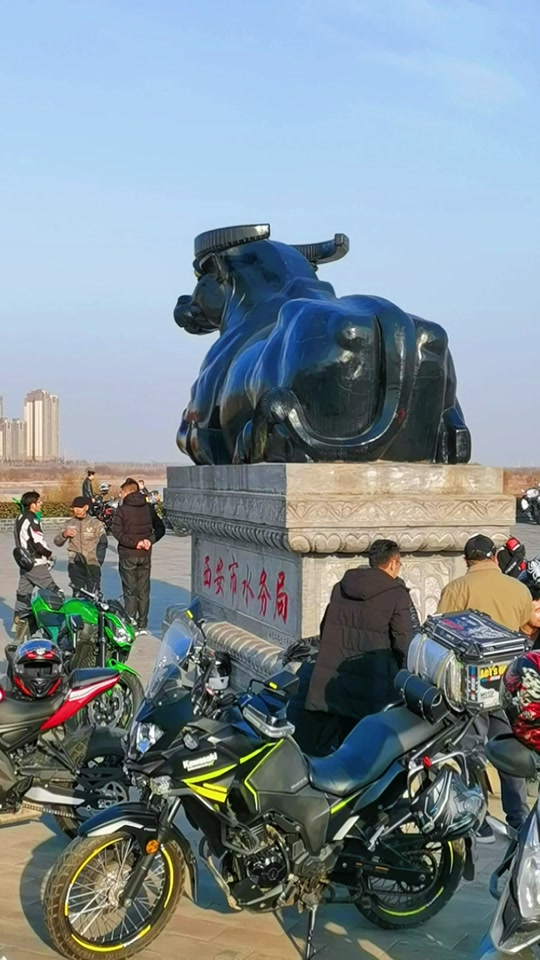 西安大铁牛_西安大铁牛在哪里_西安大铁牛广场 - 抖音