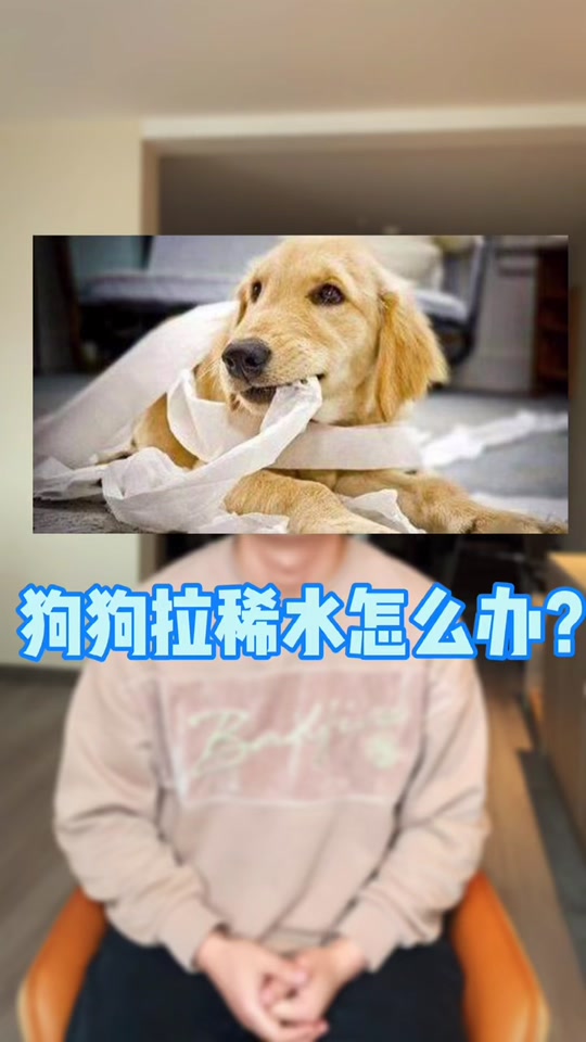 狗狗拉稀像泥浆_狗狗拉稀像泥浆是什么原因_狗狗拉稀像泥浆很臭还不吃