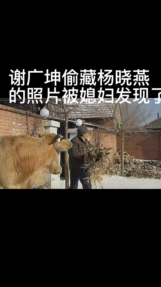 抖音杨晓燕=抖音杨晓燕干啥的啊