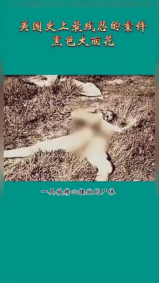 黑色大丽花现场原图_黑色大丽花现场勘测