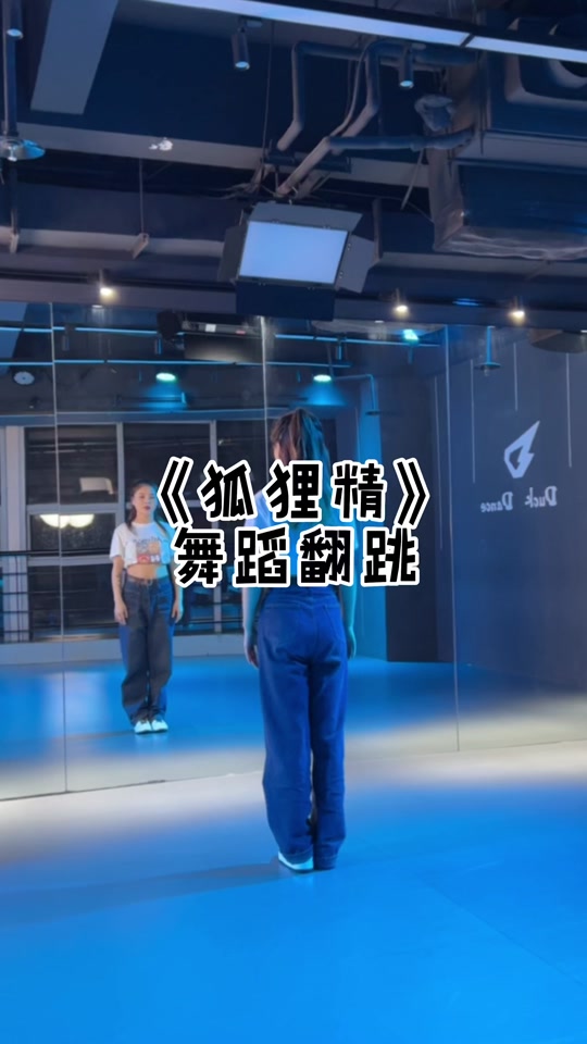 狐狸精歌曲(狐狸精歌曲mv)