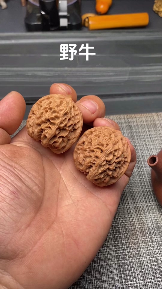 野牛狮子头