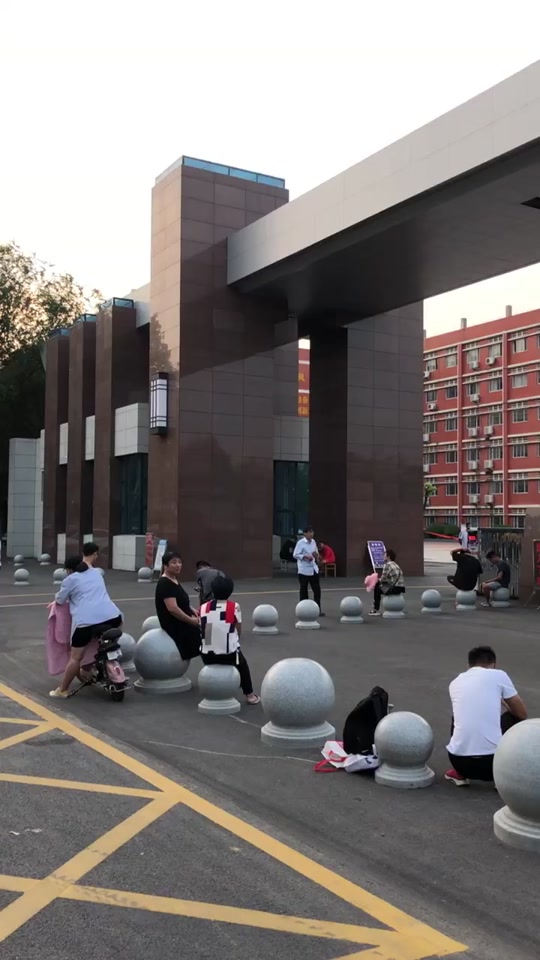漯河四高校花
