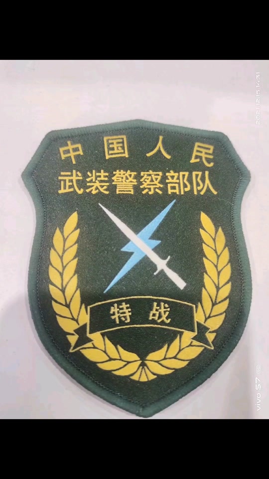 07式臂章_武警07式臂章_07式臂章与15式臂章对比 - 抖音