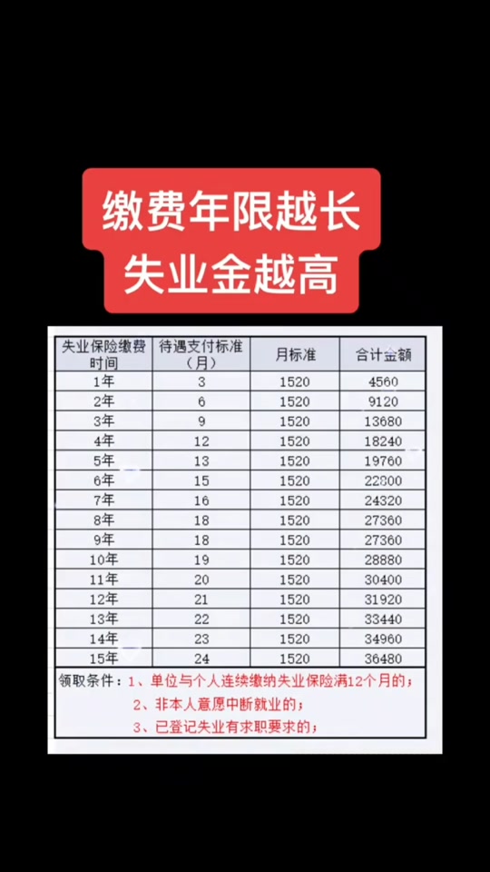 2024年绵竹失业金领取标准 - 抖音