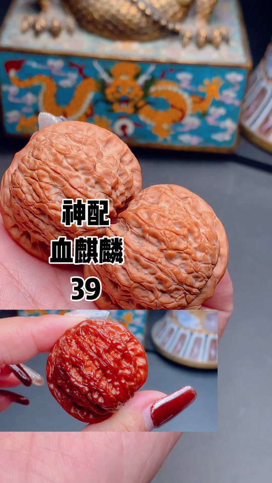 文玩核桃血麒麟和玉麒麟的区别 - 抖音